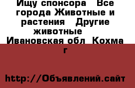 Ищу спонсора - Все города Животные и растения » Другие животные   . Ивановская обл.,Кохма г.